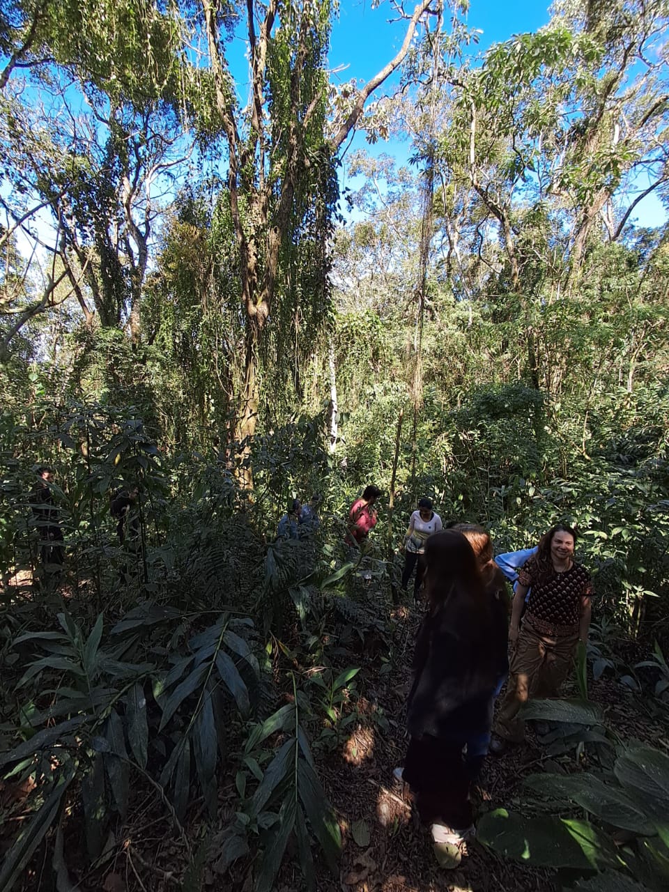Um dia no Parque - Meio Ambiente